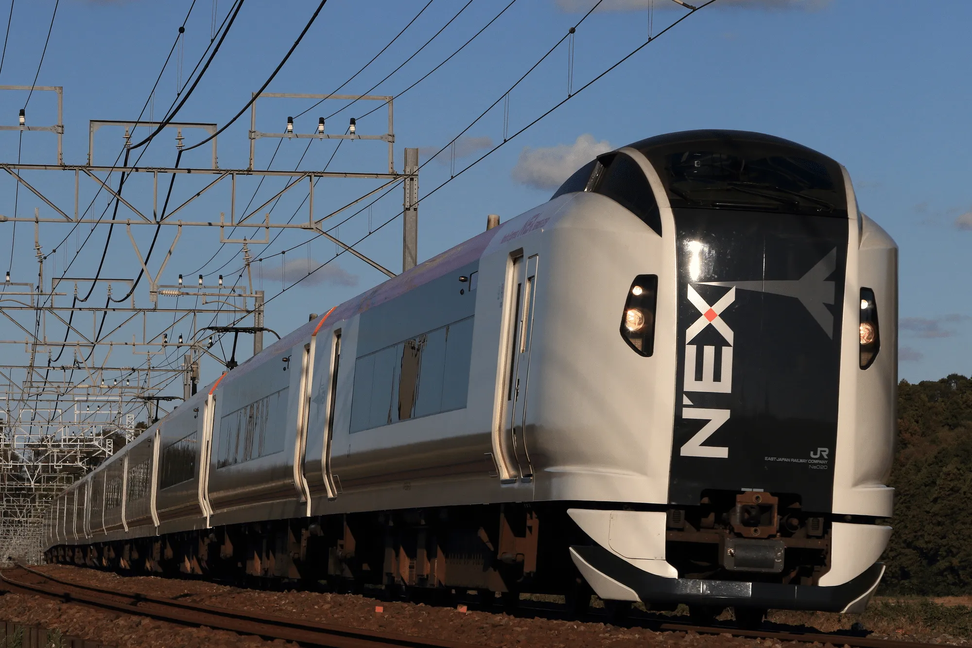 東京駅の成田エクスプレス乗り場はどこ？購入方法や乗り換え目安時間をご紹介